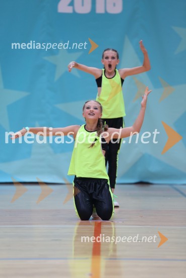 GOLD ZAJČICE, Pavlovič - Palčič