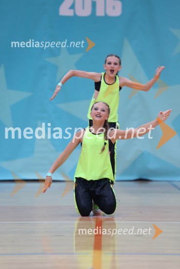 GOLD ZAJČICE, Pavlovič - Palčič