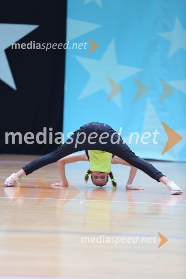 GOLD ZAJČICE, Pavlovič - Palčič