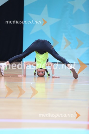 GOLD ZAJČICE, Pavlovič - Palčič