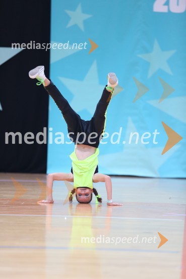 GOLD ZAJČICE, Pavlovič - Palčič