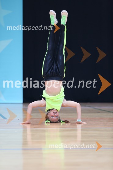 GOLD ZAJČICE, Pavlovič - Palčič