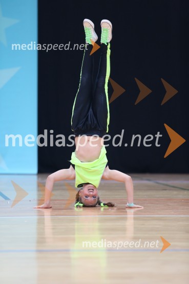 GOLD ZAJČICE, Pavlovič - Palčič