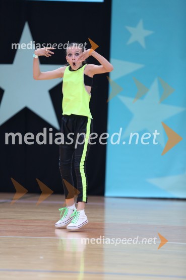 GOLD ZAJČICE, Pavlovič - Palčič