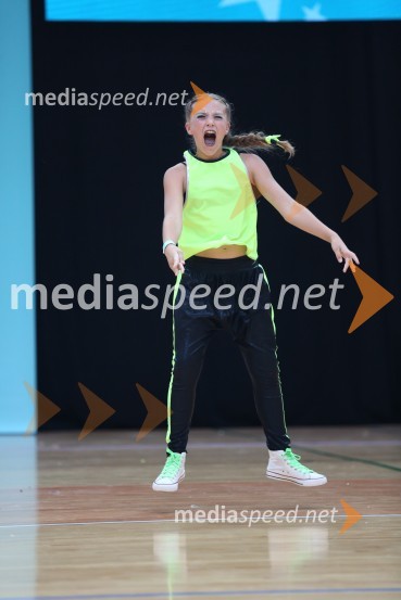 GOLD ZAJČICE, Pavlovič - Palčič