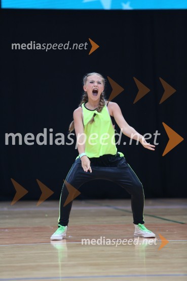 GOLD ZAJČICE, Pavlovič - Palčič