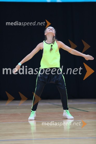 GOLD ZAJČICE, Pavlovič - Palčič