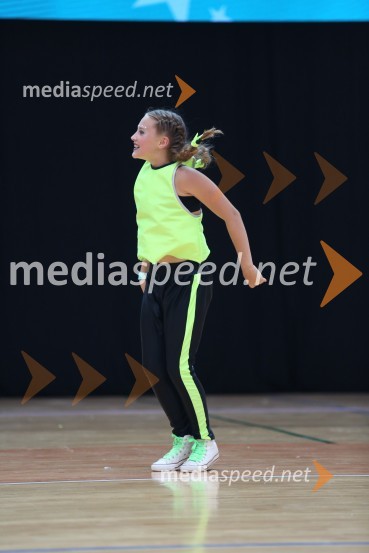 GOLD ZAJČICE, Pavlovič - Palčič