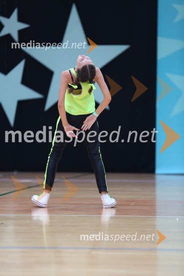 GOLD ZAJČICE, Pavlovič - Palčič