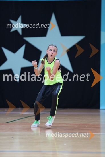 GOLD ZAJČICE, Pavlovič - Palčič