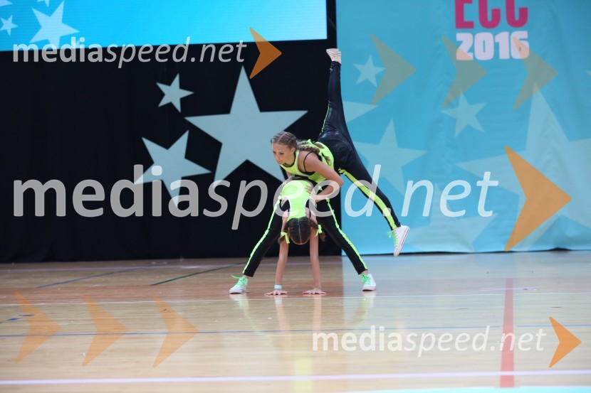 GOLD ZAJČICE, Pavlovič - Palčič