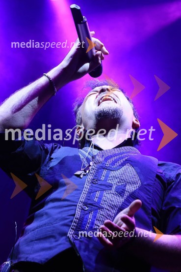  Zlatan Stipišić - Gibonni, pevecLaško Pivo in cvetje 2016, petek