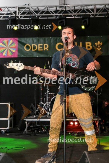 Laško Pivo in cvetje 2016, petek