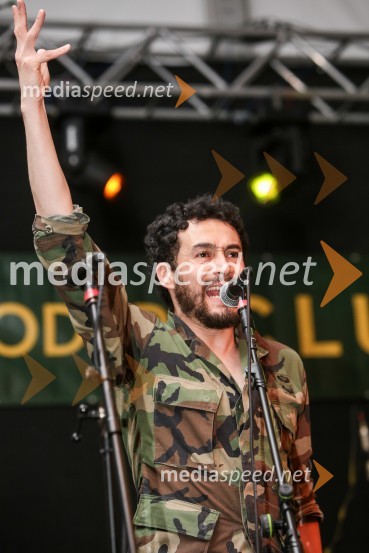 Laško Pivo in cvetje 2016, petek