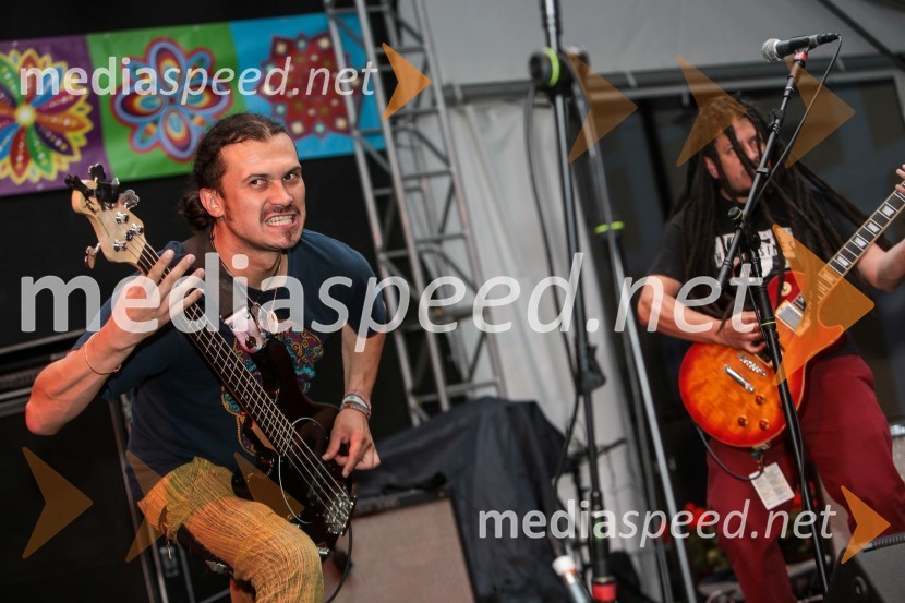 Laško Pivo in cvetje 2016, petek