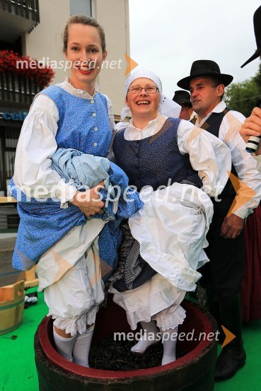 Pivo in cvetje 2016, sobotaLaško Pivo in cvetje 2016, sobota
