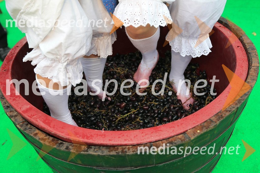 Pivo in cvetje 2016, sobotaLaško Pivo in cvetje 2016, sobota