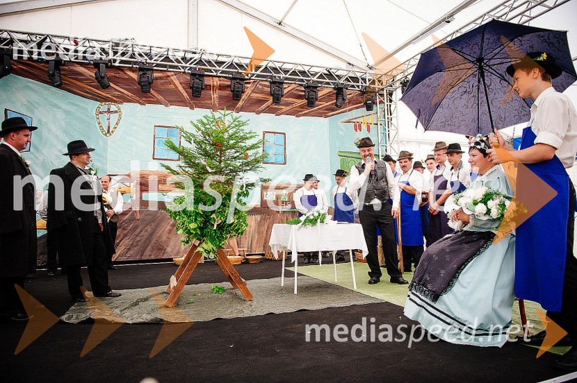 Ohcet po starih šegahLaško Pivo in cvetje 2016, nedelja