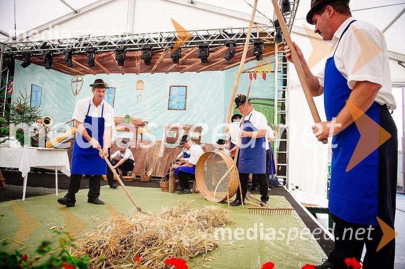 Ohcet po starih šegahLaško Pivo in cvetje 2016, nedelja