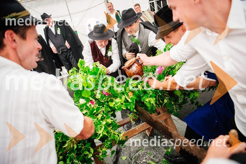 Ohcet po starih šegahLaško Pivo in cvetje 2016, nedelja