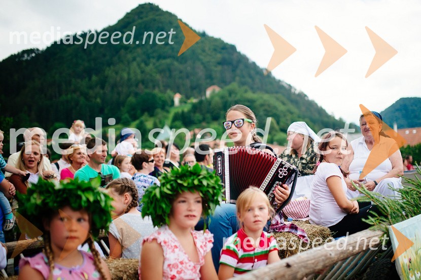 Parada Pivo in cvetje 2016Laško Pivo in cvetje 2016, nedelja