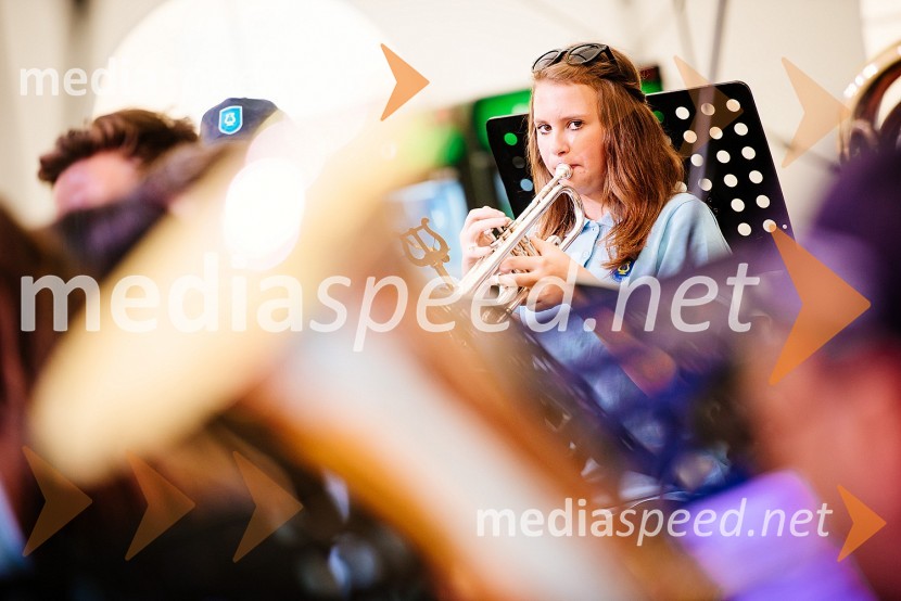 Mednarodni festival plehmuzikLaško Pivo in cvetje 2016, nedelja