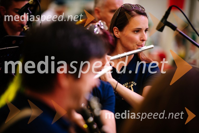 Mednarodni festival plehmuzikLaško Pivo in cvetje 2016, nedelja