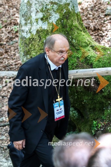  Geza Filo, evangeličanski škofSlovesnost ob 100. obletnici Ruske kapelice