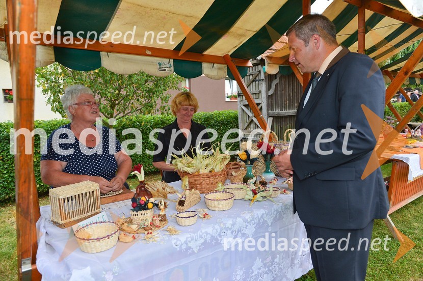  ... ;  ... ; mag. Dejan Židan, minister za kmetijstvo, gozdarstvo in prehrano, predsednik stranke SDProslava ob obletnici združitve prekmurskih Slovencev z matičnim narodom
