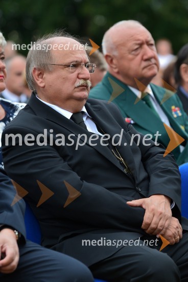 Proslava ob obletnici združitve prekmurskih Slovencev z matičnim narodom