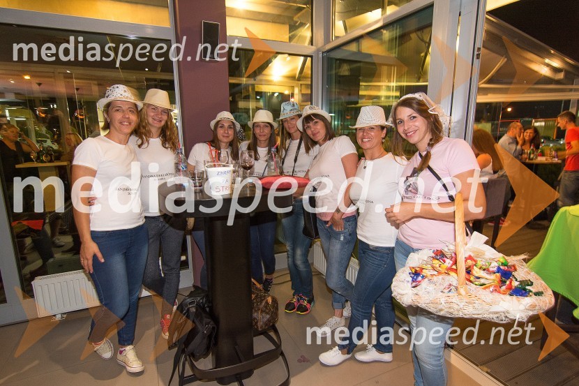 Koncert skupine S.A.R.S.