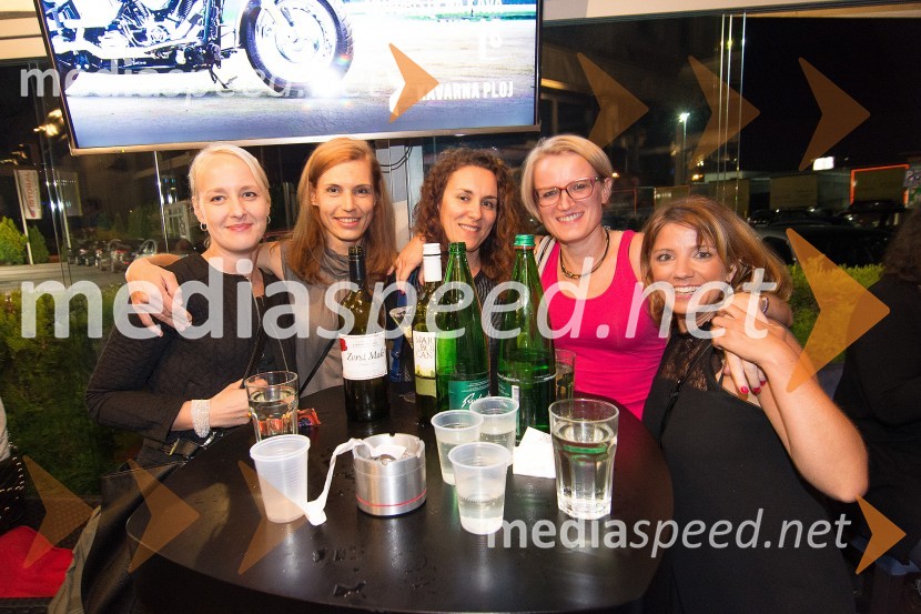 Koncert skupine S.A.R.S.