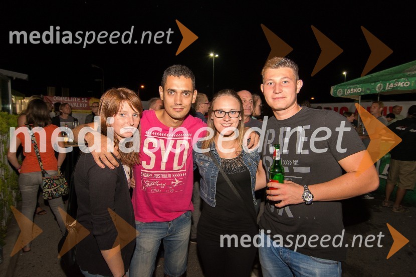 Koncert skupine S.A.R.S.