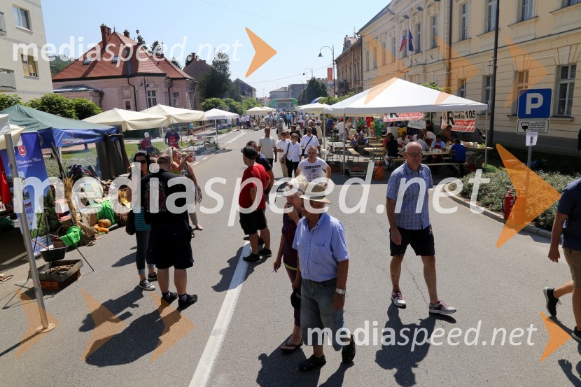 Bogračfest 2016