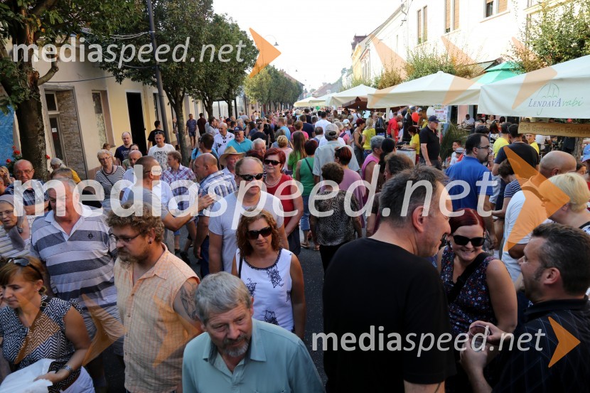Bogračfest 2016