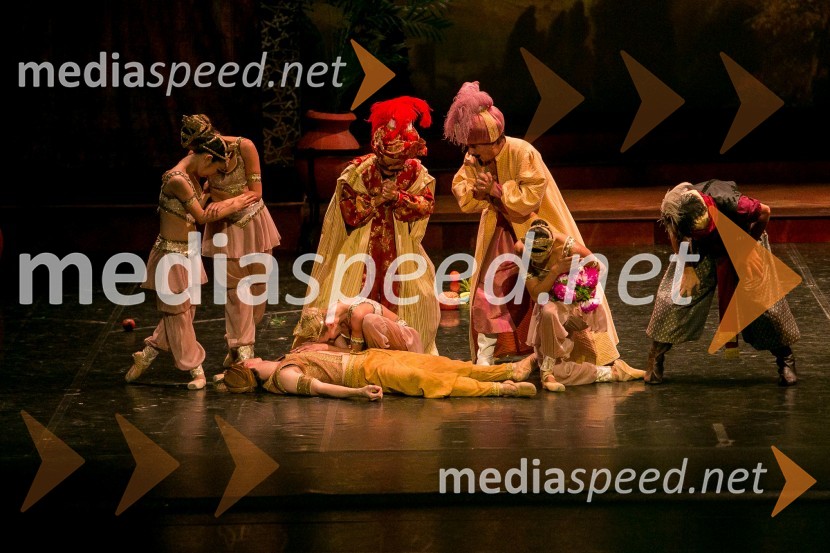 Baletna predstava Gusar, Opera in Balet SNG MariborFestival Ljubljana 2016: Baletna predstava Gusar