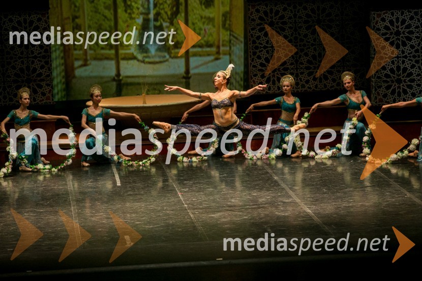 Baletna predstava Gusar, Opera in Balet SNG MariborFestival Ljubljana 2016: Baletna predstava Gusar