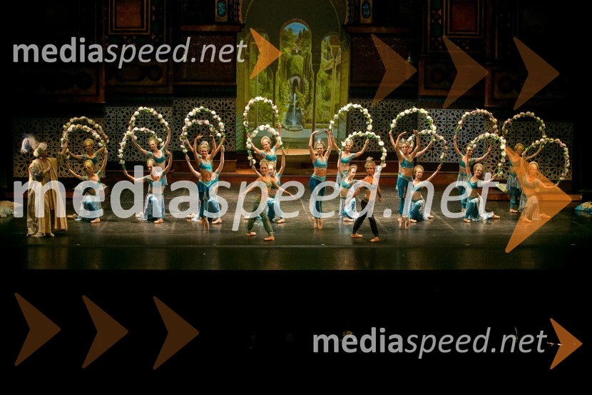 Baletna predstava Gusar, Opera in Balet SNG MariborFestival Ljubljana 2016: Baletna predstava Gusar