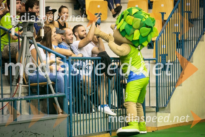 LipkoSlovenski košarkarji premagali tudi ekipo iz Ukrajine