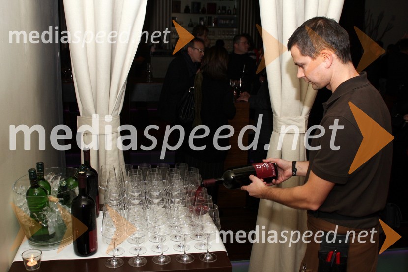 PogostitevOtvoritev gostovanja Slovenske kinoteke v Mariboru