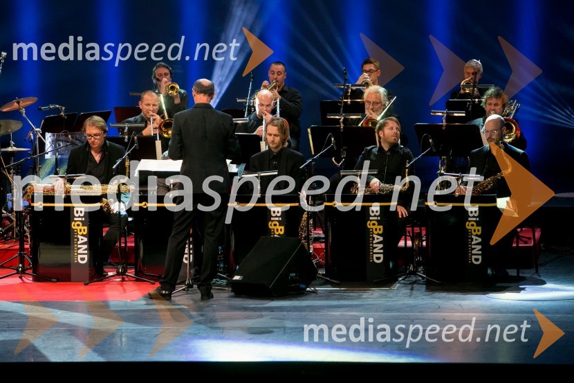 Dobrodelni koncert Rdečega križa Slovenije