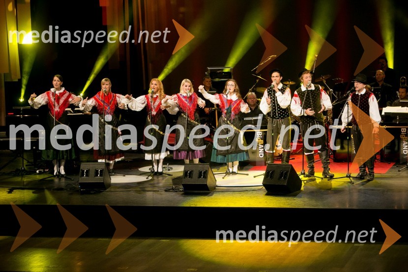 Dobrodelni koncert Rdečega križa Slovenije