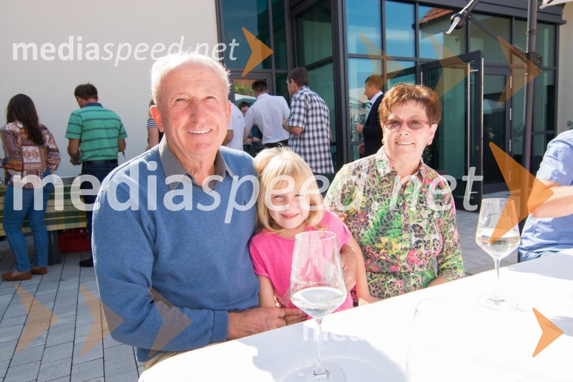  Jožef Steyer, Steyer Vina;  ... ;  Jožefa Steyer, Steyer VinaSrečanje Steyerjev