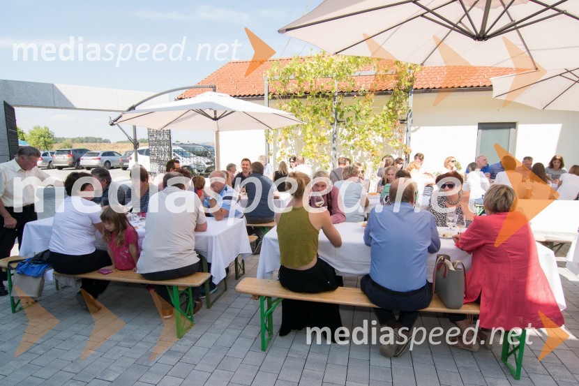 Srečanje SteyerjevSrečanje Steyerjev