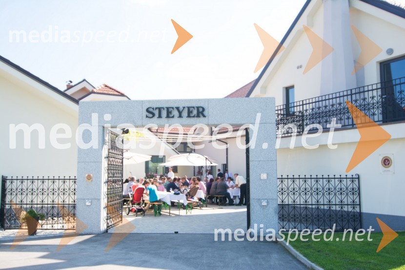 Posestvo SteyerSrečanje Steyerjev