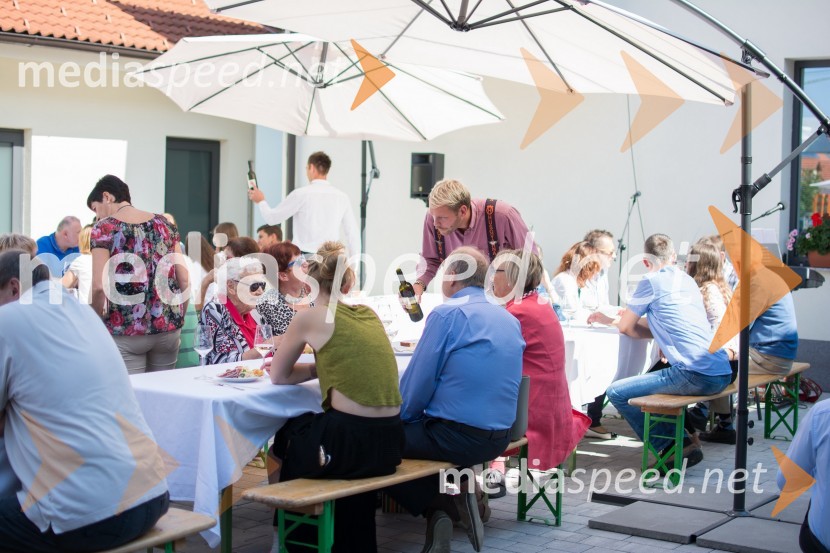 Srečanje SteyerjevSrečanje Steyerjev