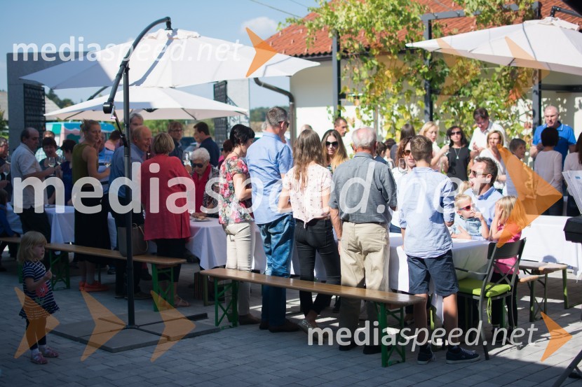 Srečanje SteyerjevSrečanje Steyerjev