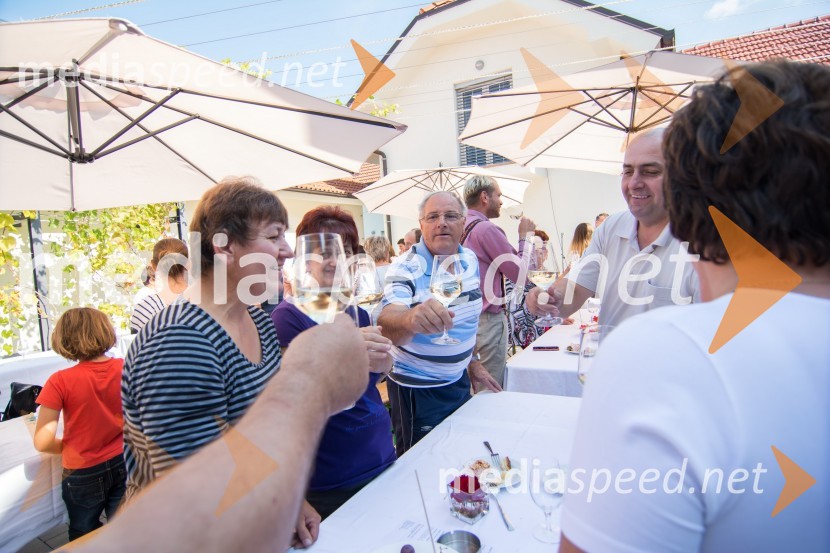 Srečanje SteyerjevSrečanje Steyerjev