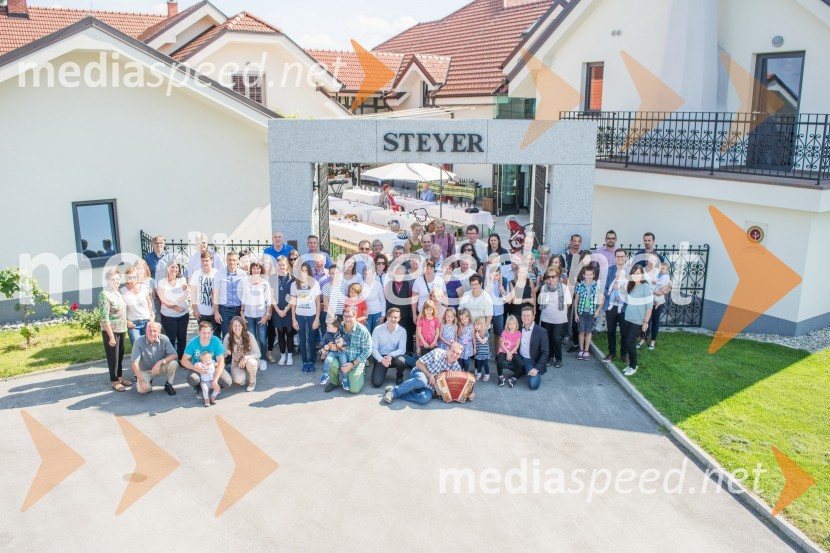 Srečanje SteyerjevSrečanje Steyerjev