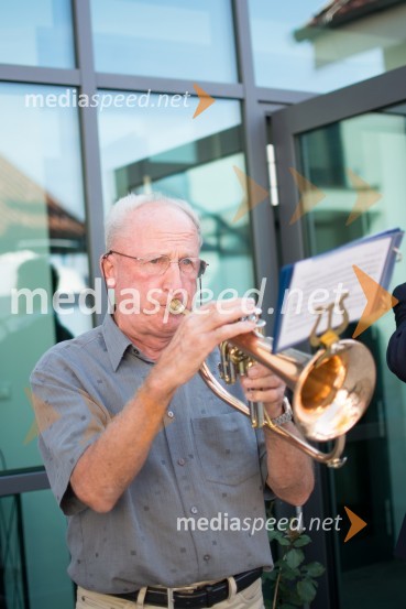  Jožef Steyer, Steyer VinaSrečanje Steyerjev